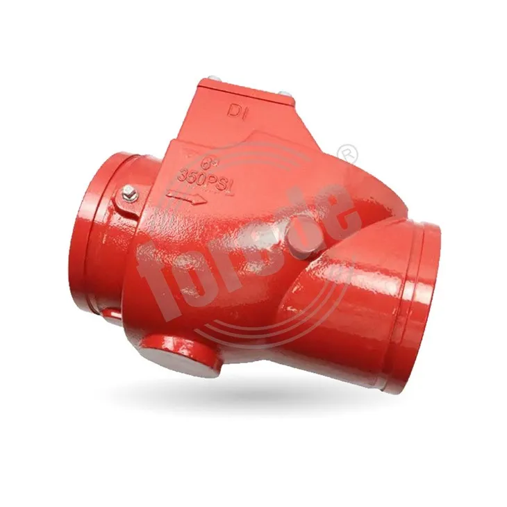 Grooved Check Valve